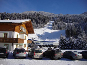 Holiday-Appartements, Flachau, Österreich